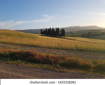 Tuscany kekosongan percutian Netscape nature