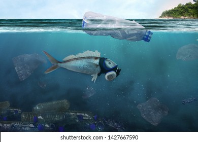 Impactul poluării cu plastic în ocean, Peștii poartă mască otrăvitoare pentru a proteja mediul nefavorabil de plastic și gunoi care sunt aruncate la gunoi de industria în jurul plajei și insulei.
