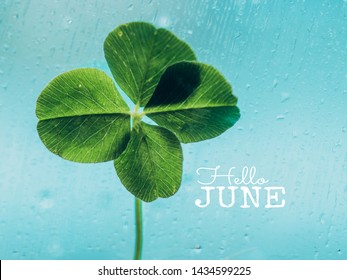 Citation Avec Le Fond Vert De Saint Patrick Hd Fond D Ecran Telecharger Citation Avec Le Fond Vert De Saint Patrick Hd Fond D Ecran Telecharger