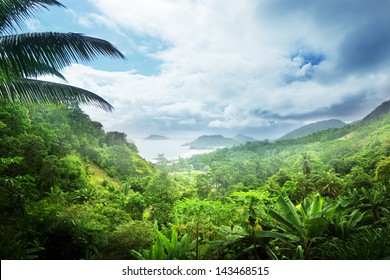 selva de la isla de seychelles