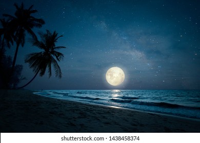 Beautiful fantasy of landscape tropical beach with silhouette palm tree in night skies and full moon - dreamlike wonder nature.