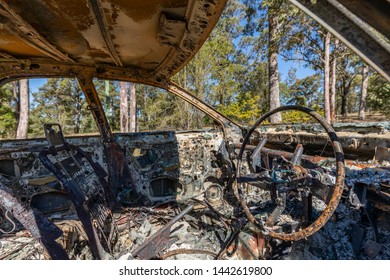 燃え尽きた車の内部と森の眺め