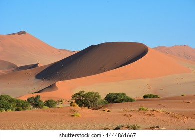 ソーサス フライのナミビア砂漠にある三日月形の砂丘