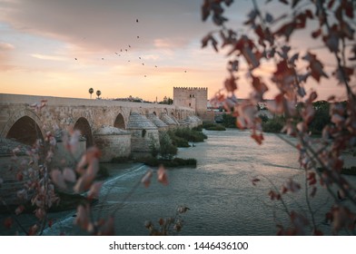 Cordoba at sunrise with Old Roman Bridge and Calahorra Tower - Cordoba, Andalusia, Spain