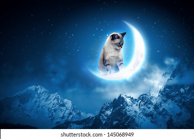 ジャンプで月をキャッチする猫の画像