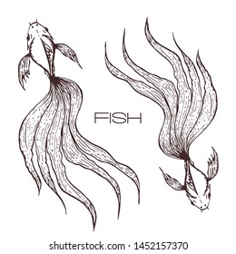 Betta Logo Vectors Free Download