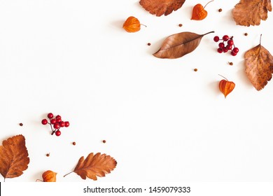Осіння композиція. Сухе листя, квіти, ягоди горобини на білому тлі. Осінь, осінь, день подяки концепції. Плоскі мирян, вид зверху, копія простір