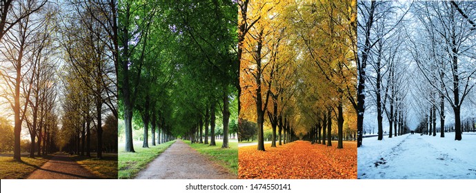 ハノーバー/ドイツのヘレンハウゼン庭園路地の四季 - 春、夏、秋、冬