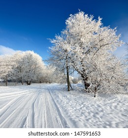 Straße und Raureif an den Bäumen im Winter