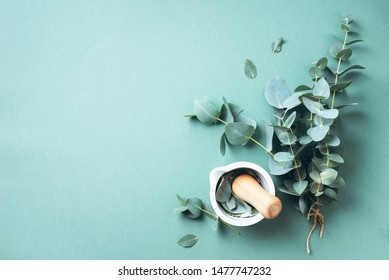 Eucalyptus leaves and white mortar, pestle. Ingredients for alternative medicine and natural cosmetics. Beauty, spa concept