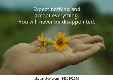 Expect Nothing And You Will Never Be Disappointed Hd Wallpaper Download