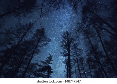 美しい夜空と天の川と木々
