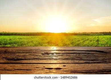 Empty wooden table with green natural of summer sunset field using for displaying or montage products.