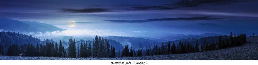 panorama de montaña con bosque en pradera por la noche. hermoso clima de otoño. nubes y niebla que se elevan sobre las colinas con filas de abetos a la luz de la luna llena.