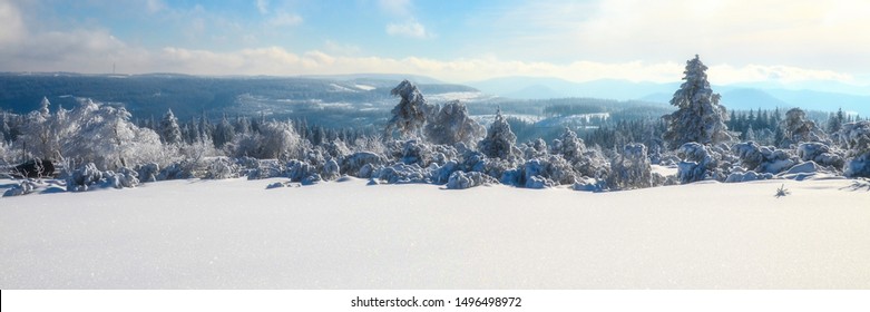 prachtig winterpanorama in het zwarte woud, duitsland