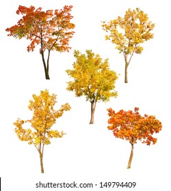 set van vijf herfst bomen geïsoleerd op een witte achtergrond