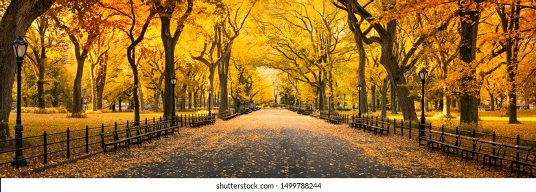 Công viên Trung tâm ở Thành phố New York trong mùa thu