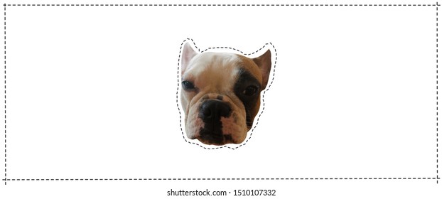 Simpatičan logotip francuskog buldoga. Ovo je Frenchie serija u portretnom foto stilu. Možete ga dovesti i kreirati na svom proizvodu ili bilo kojem drugom. Pogodan je za upotrebu kao logo, simbol, natpis.
