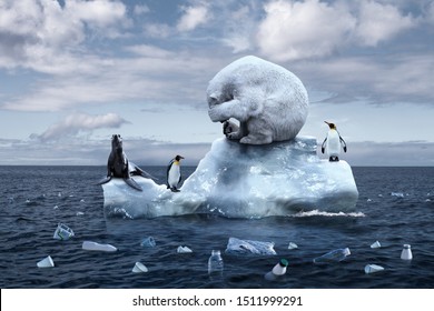 cambio climático. Mancha de basura. el oso llora cerrando la cara con las patas. el oso polar, los pingüinos y el lobo marino se sientan en un glaciar que se derrite en medio del océano. catástrofe ecológica