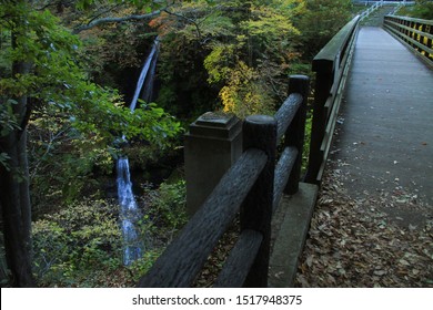 Waterfall and Wooden bridge (Agatsuma Valley)
