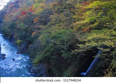 Autumn valley and waterfall (Agatsuma Valley)