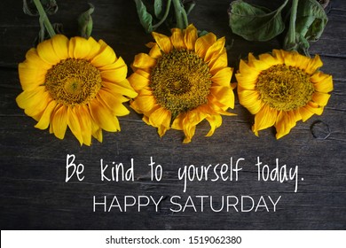 Inspirational motivational quote - Be kind to yourself today. With 3 beautiful sunflowers on rustic wooden table background. Self reminder, happy Saturday greeting concept.