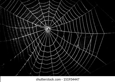 behoorlijk eng beangstigend spinnenweb voor Halloween