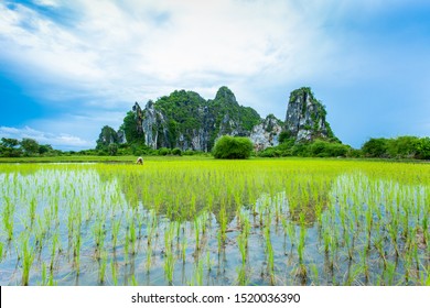 Tempat di Provinsi Kampot, Kamboja