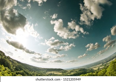 A forest under a cloudy sky seen with a fish eye lens