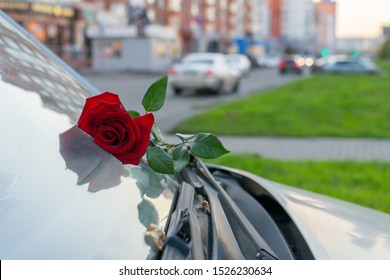 La rosa roja dejada como regalo a la niña se seca en el parabrisas del auto
