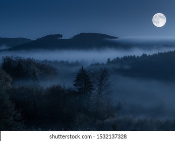 Die kühle Landschaft der bewaldeten Hügel im Nebel mit dem Vollmond am blauen Himmel in der Nacht - Werwölfe Horror Twilight-Konzept
