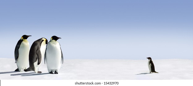 Tiga penguin kaisar bertemu dengan seekor penguin Adelie