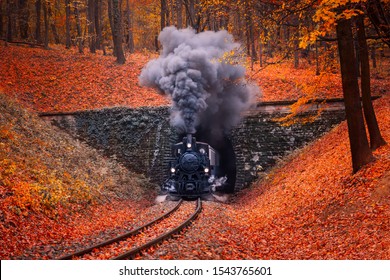Đầu máy xe lửa chạy bằng hơi nước từ đường hầm, tỏa ra khói xám dày đặc qua ống khói. Rừng mùa thu ở Budapest màu sắc đẹp và lá rơi trong nền. Hình ảnh phong cách retro
