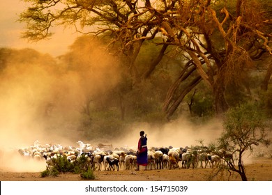 Hirte, der eine Herde Ziegen führt
