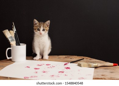 Kleine schilder kitten met borstels en pootafdrukken