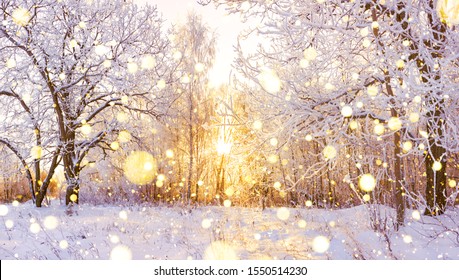 Hermoso panorama de paisaje de invierno cubierto de nieve con bosque y sol. puesta de sol de invierno en vista panorámica del bosque. el sol brilla a través de árboles cubiertos de nieve
