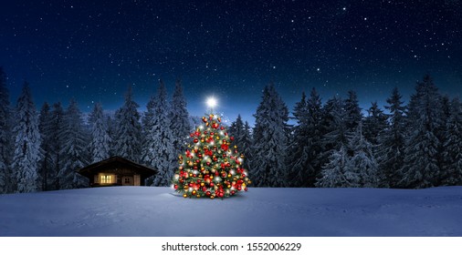 Sapin de Noël la nuit dans le paysage