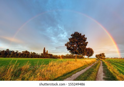 野原の道路にかかる虹