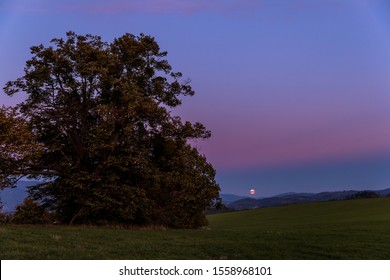 Salida de la luna árbol abandonado en una colina al atardecer oscuro con la luna creciente en luna llena sobre el horizonte entre la naturaleza y el paisaje con vistas a la captura de nubes oscuras y cambiantes en alta resolución.