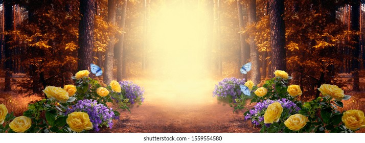 秋の松の木の森、夏のバラとブルーベルのホタルブクロの花の茂み、飛んでいる青い蝶、コピー スペースのある神秘的な霧のトレイル ロードと幻想的な素晴らしいワイド パノラマ写真の背景