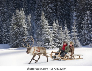 Un reno tirando de una pareja de ancianos en un trineo