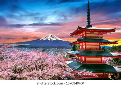 Cherry blossoms in spring, Chureito pagoda and Fuji mountain at sunset in Japan.