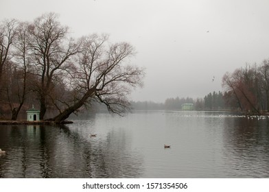 早朝の古い公園の湖にかかる霧