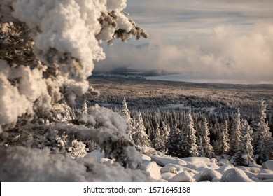lago y bosque de montañas de invierno