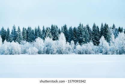 Winterweg met sneeuw in Finland. Landschap van Lapland in Europa. Bos langs snelweg tijdens rit. Besneeuwde reis. Koude oprit. Rijden op de Finse snelweg in het dorp Rovaniemi in het noorden. Zicht met boom