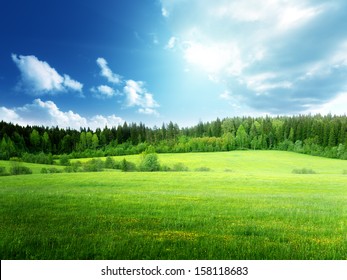 芝生と完璧な空