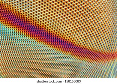 Een extreem scherpe en gedetailleerde microscopische close-up van het samengestelde oog van een dazen, genomen met een microscoopobjectief.