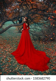 Reina de mujer pelirroja atractiva en vestido rojo con cola larga. Corona dorada en el cabello. Telón de fondo otoño naturaleza árbol viejo, cuervo se sienta en las ramas, hojas de color naranja amarillo caído sobre la hierba verde. vista trasera