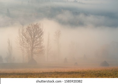 Mooie herfst mistige Karpaten in de vroege ochtend. Rustige landelijke scène met hooibergen en grazend paard op de weide.