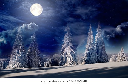 冬の妖精のトウヒの木、満月の丘